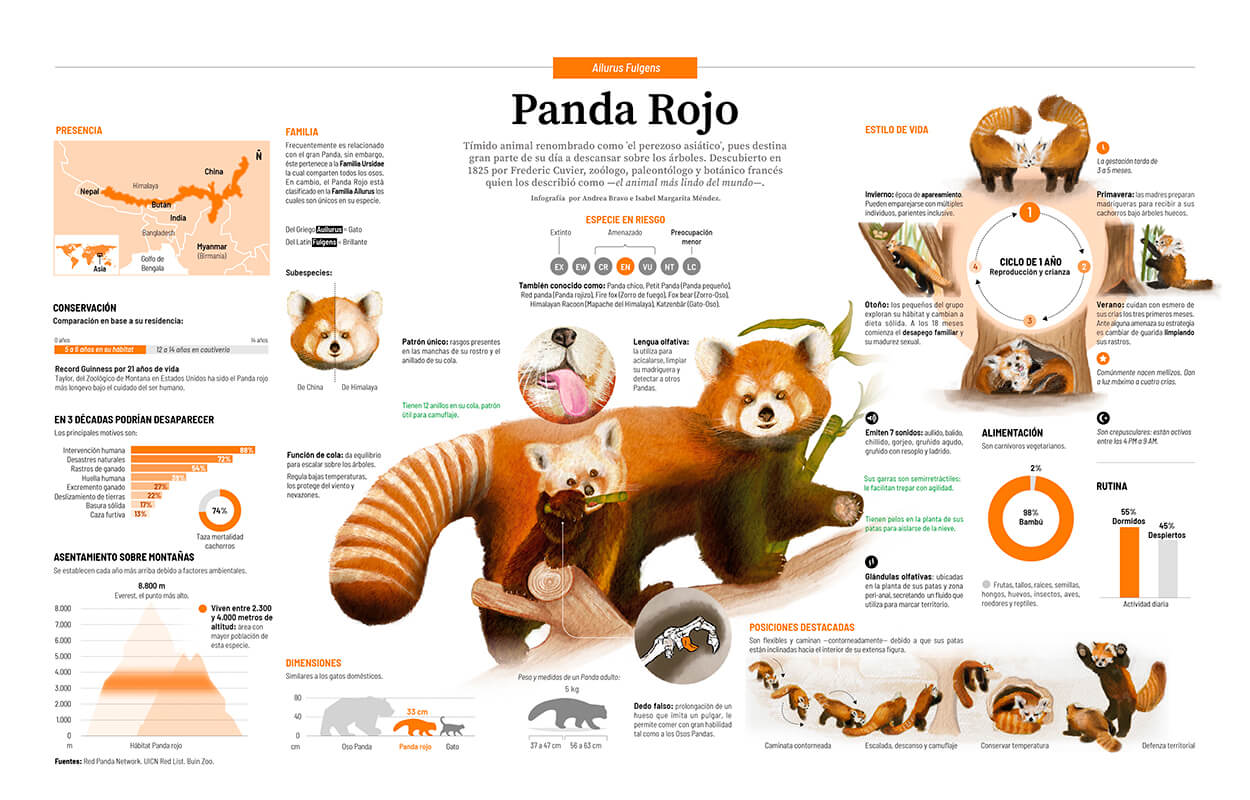 infografía impresa pequeña