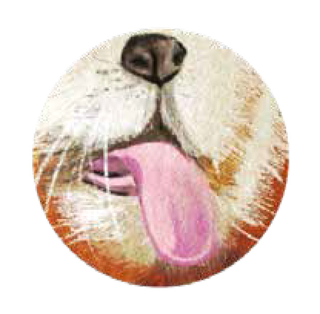 Ilustración que muestra la lengua